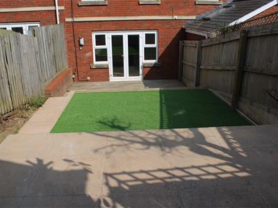 Picture 11